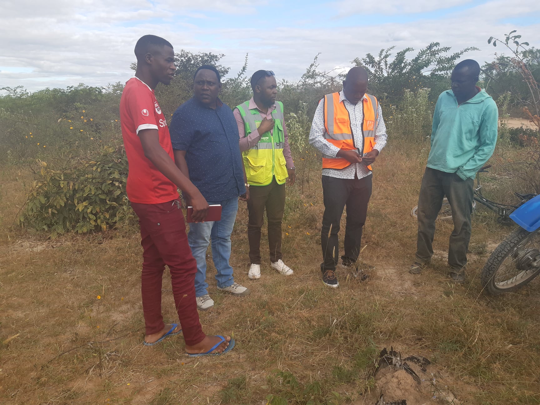 Afforestation and Reforestation Efforts